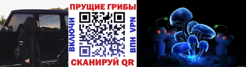 Псилоцибиновые грибы ЛСД  kraken ССЫЛКА  Геленджик 